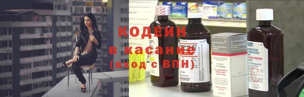 ПСИЛОЦИБИНОВЫЕ ГРИБЫ Арсеньев