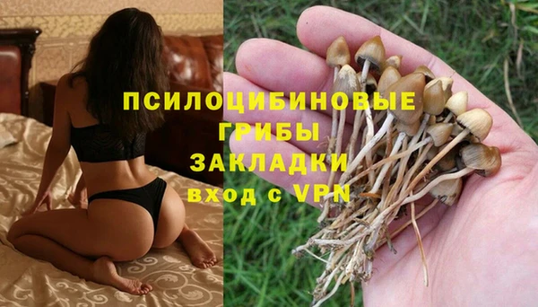 ALPHA-PVP Аркадак