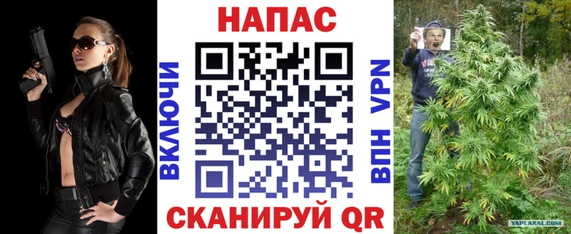где продают   Удачный  Бошки Шишки SATIVA & INDICA 